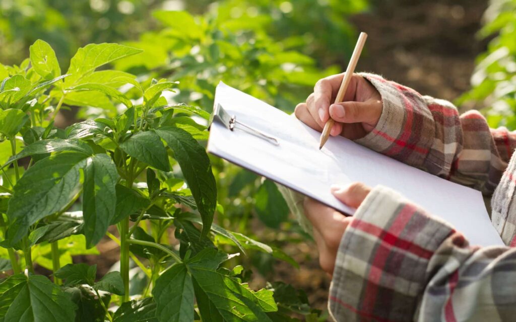 Reimagining Agriculture: The Impact Of Climate Change By 2080