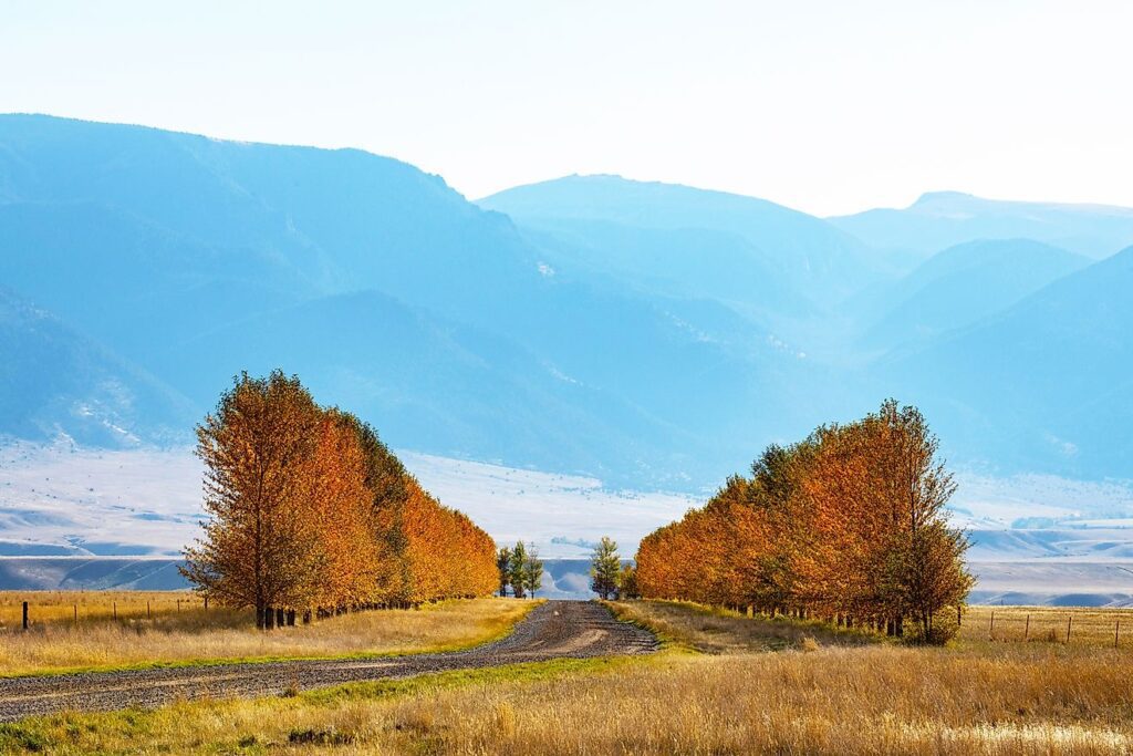 Discovering Montana's Most Tranquil Towns
