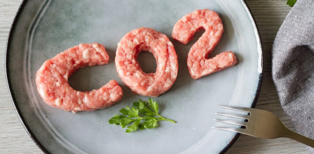 Enhancing Your Meal Choices With Eco Friendly Food Labels
