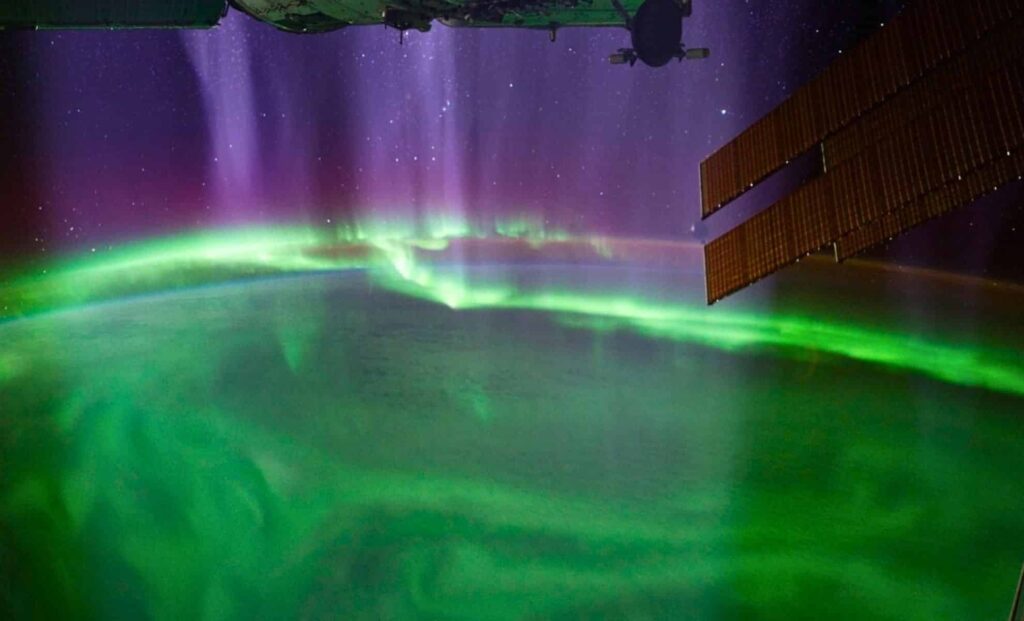Nasa Discovers Mysterious Bird Like Sounds In Distant Space