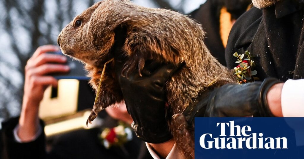Punxsutawney Phil Sees Shadows, Foretells Extended Winter