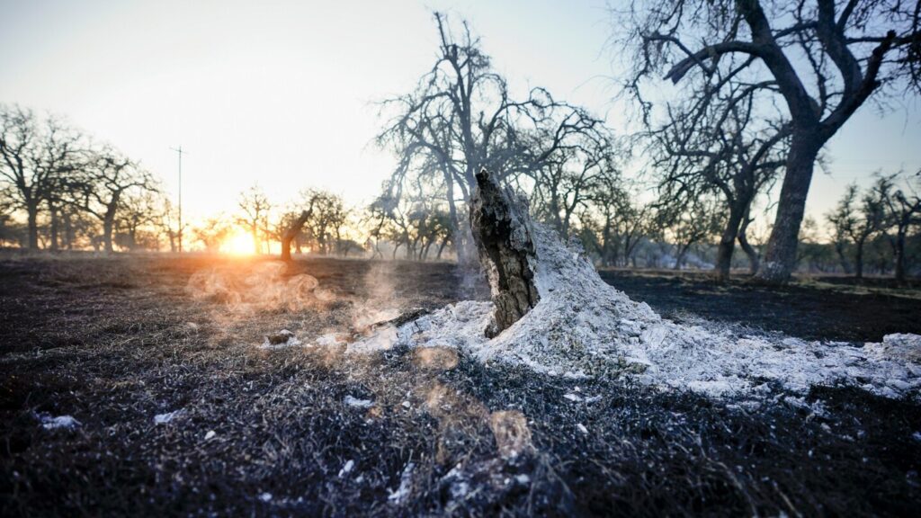 After The Flames: Rebuilding Lives And Homes After Wildfire Devastation