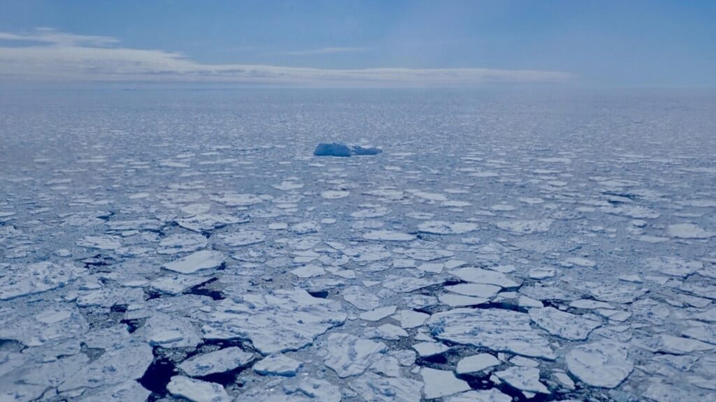 February Sees Record Low Sea Ice Amid Rising Global Temperatures