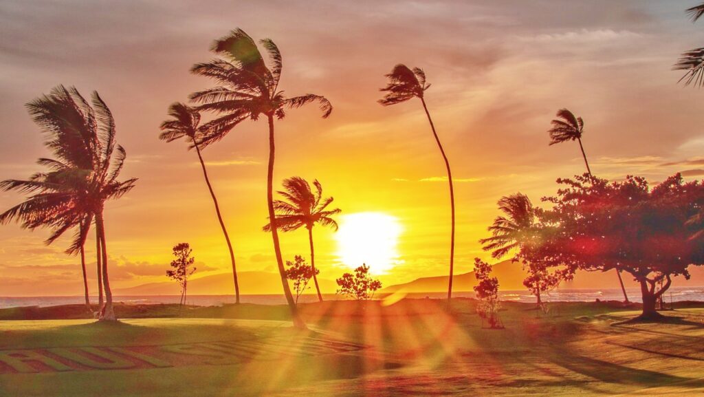 Hawaii Awaits: A New Surge In Airline Travel