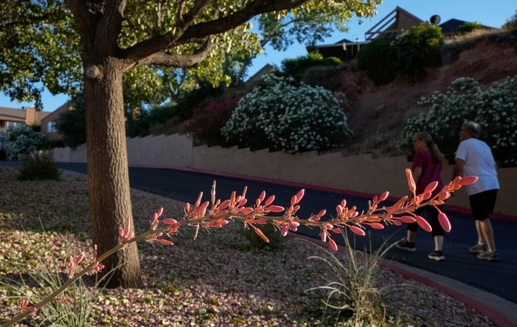 South Utah Officials Push To Finalize Drought Solutions During Unusually