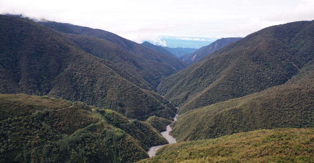 Tropical Forests Face Challenges Amid Climate Change