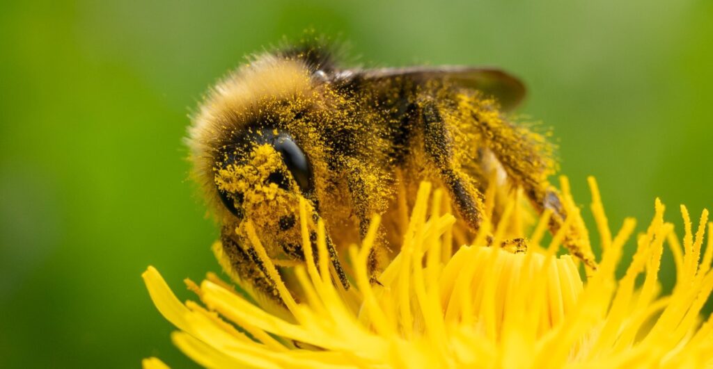 Allergy Seasons Unleashed: The Impact Of Climate Change
