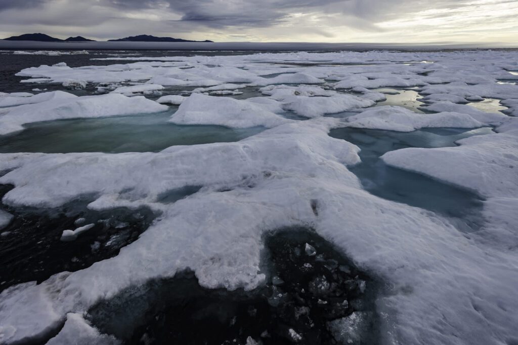 Arctic Alarm: Unveiling Impactful Changes In The North
