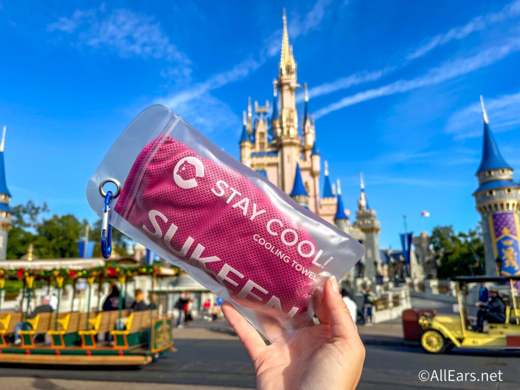 Essential Tips For Thriving In 100 Degree Heat At Disney World