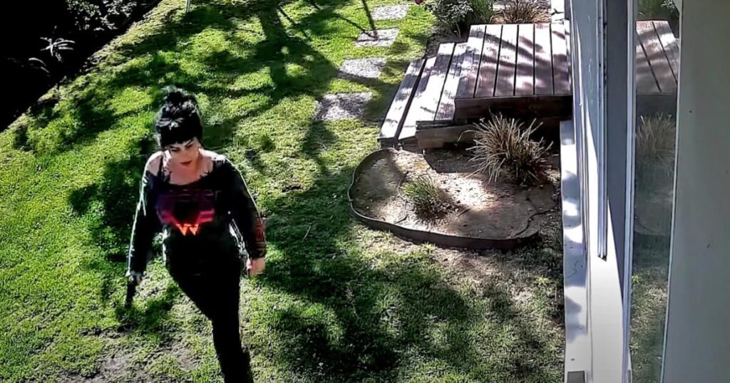 Lapd Shares Footage Of Jillian Lauren's Filming活动