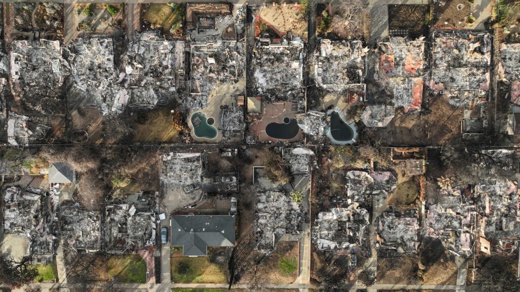 Strengthening La's Resilience: Insights From Dr. Lucy Jones