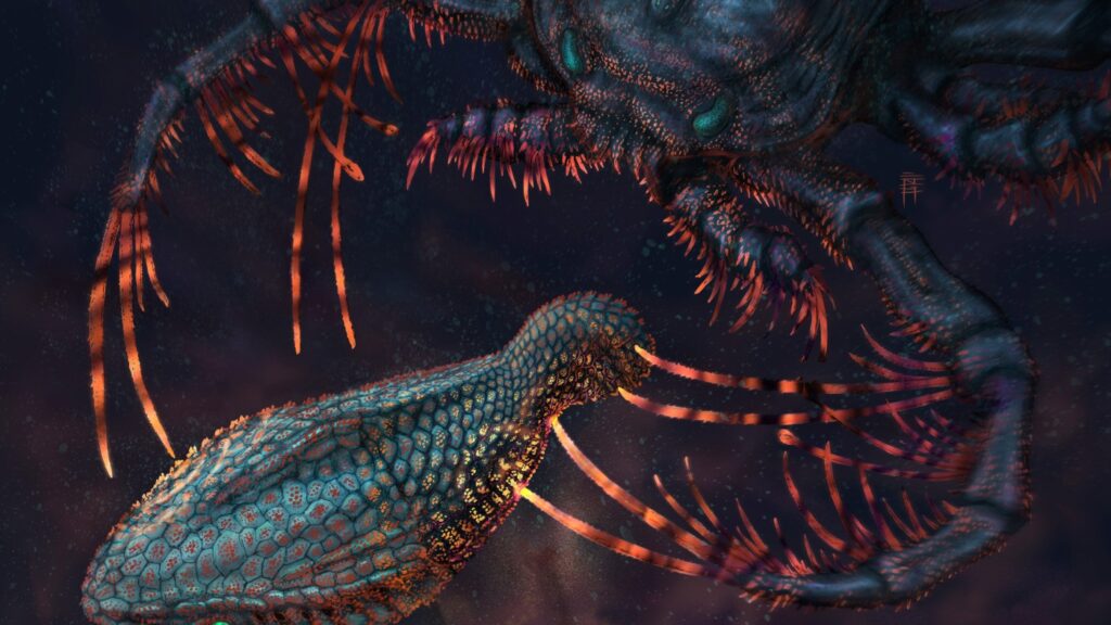 From Ancient Fish Scales To Human Smiles: The Evolution Of