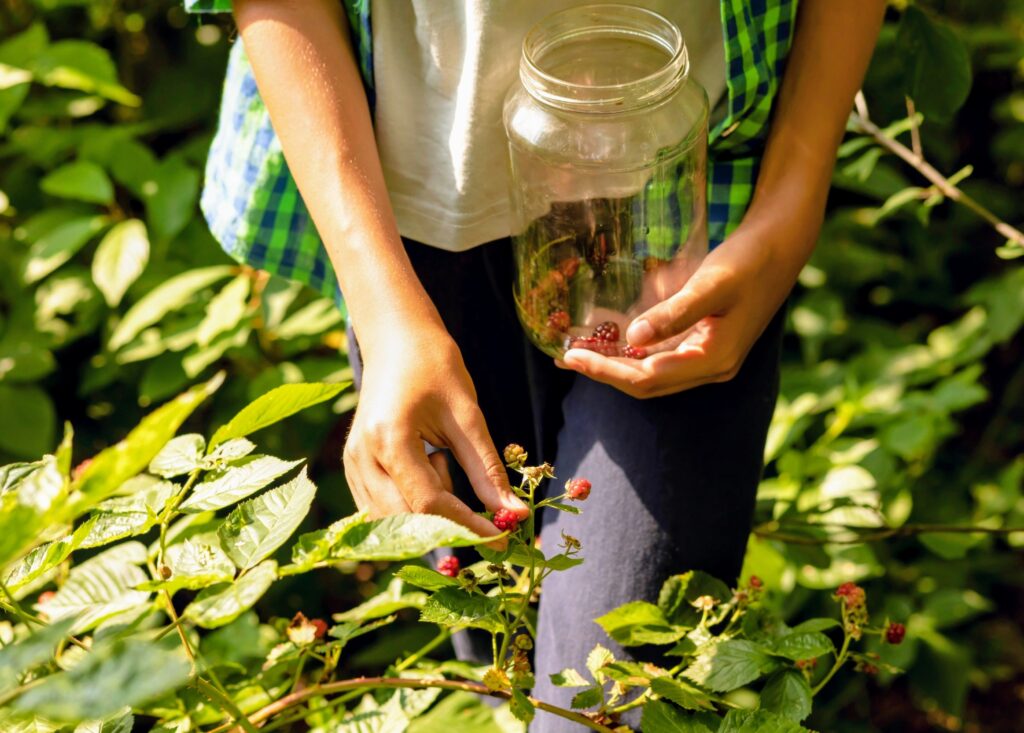 Rediscovering Traditional Forest Agriculture As A Key Climate Solution