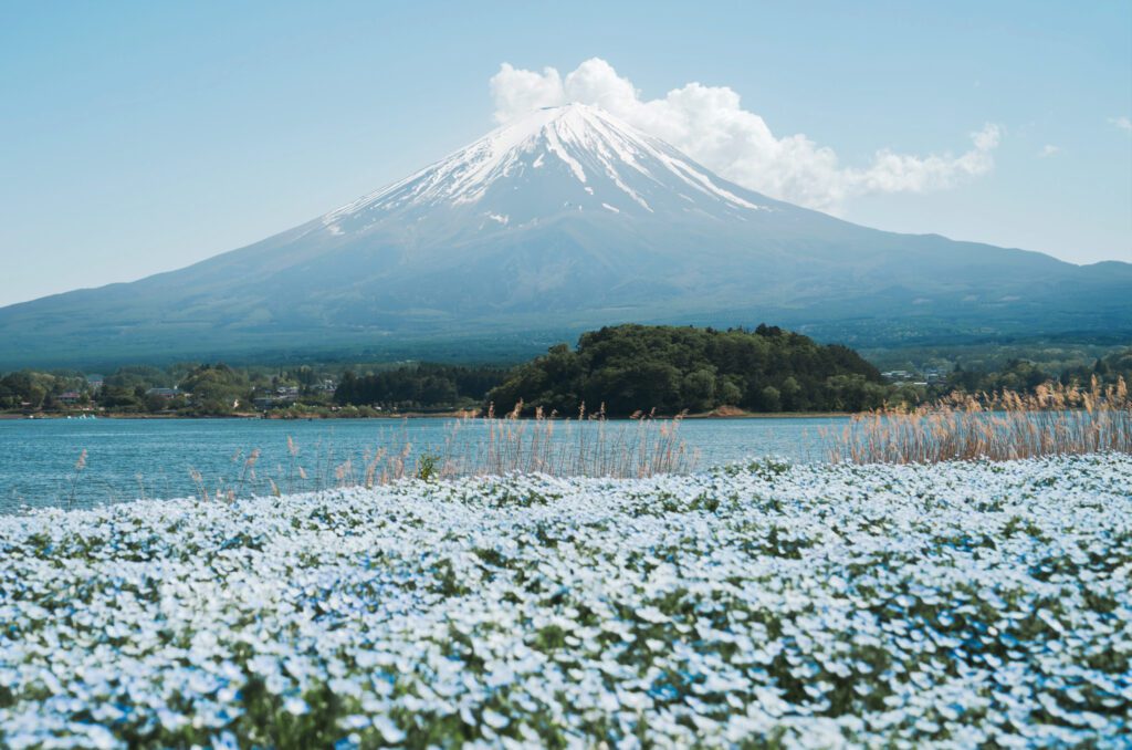 Top Attractions And Must See Destinations