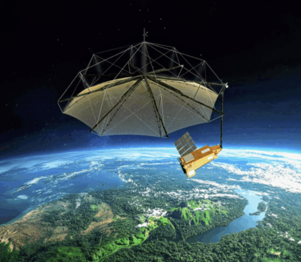 Unveiling Hidden Carbon Trends Through Satellite Imagery Of Forest Biomass