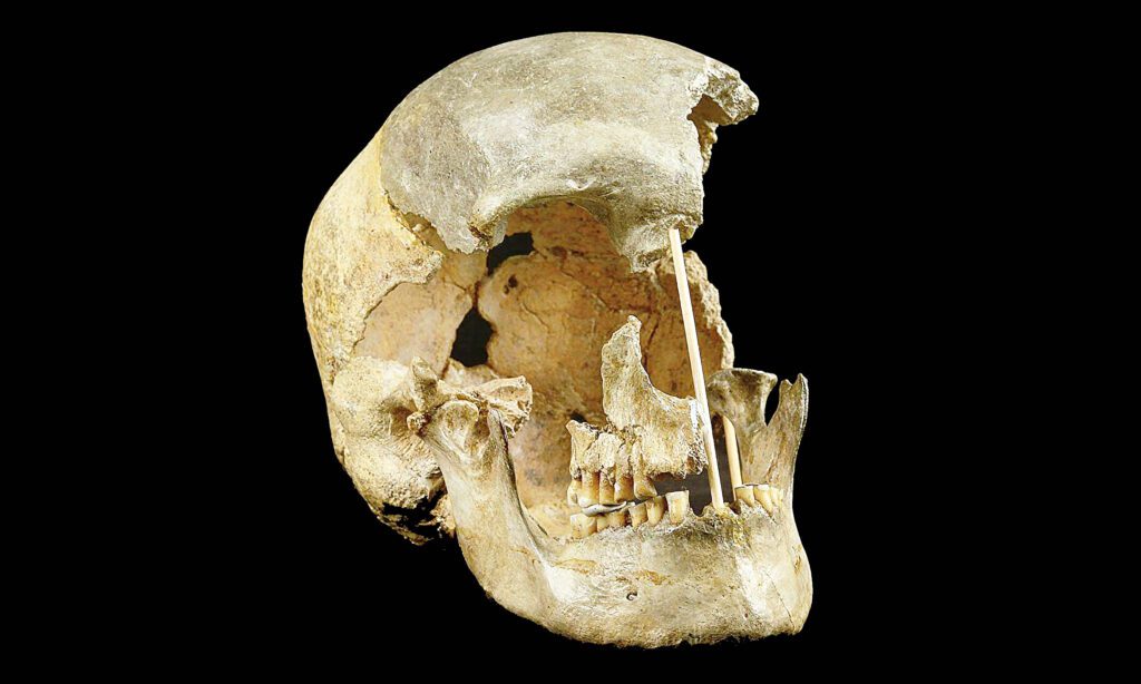 Ancient Dna Uncovers Hidden Branches Of Our Family Tree