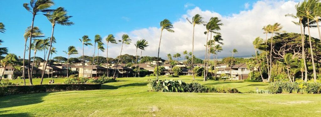 Maui's $1.6 Billion Boost: What It Means For Vacation Rentals