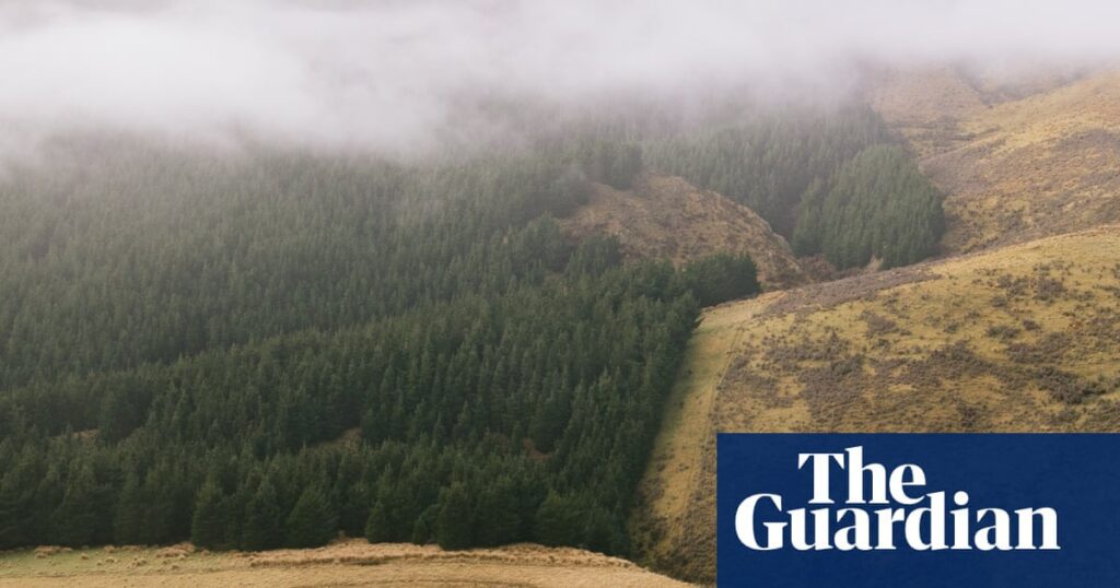 New Zealand Urges Stronger Action On Emission Reductions