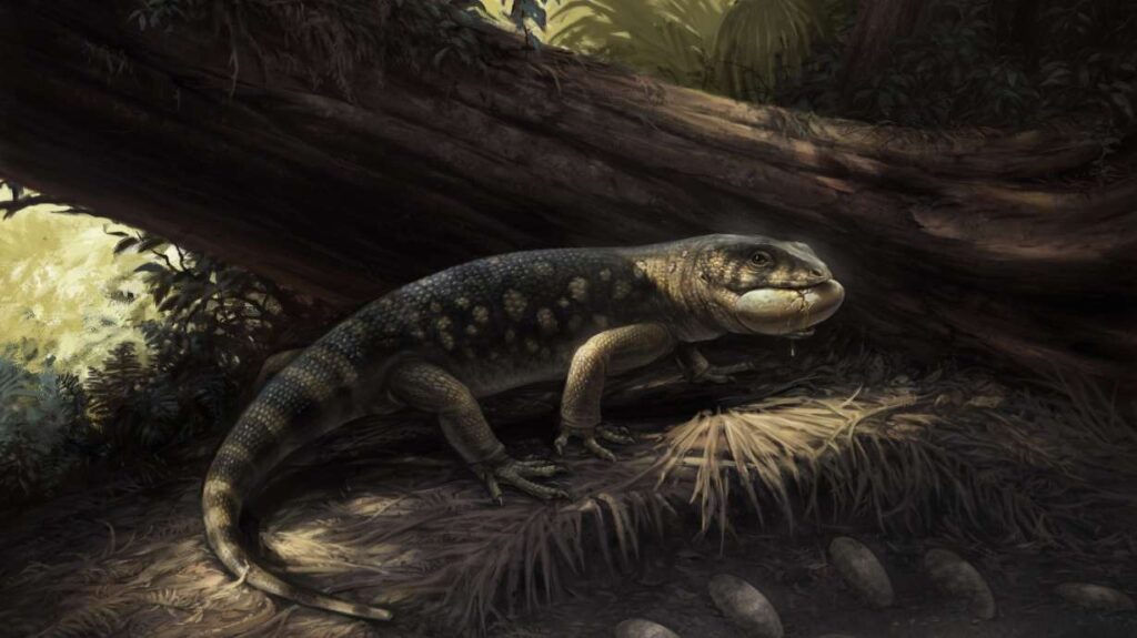 Newly Discovered Dinosaur Species As Big As Raccoons Unearthed In