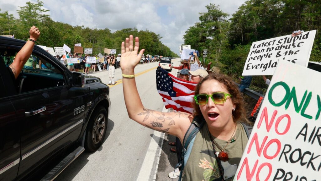 Protesters Stand Against Florida's Everglades Highway Threat To Alligator Habitat