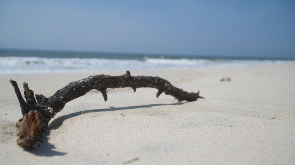 Southampton Coopers Beach Ranks Among The Nation's Finest Shores