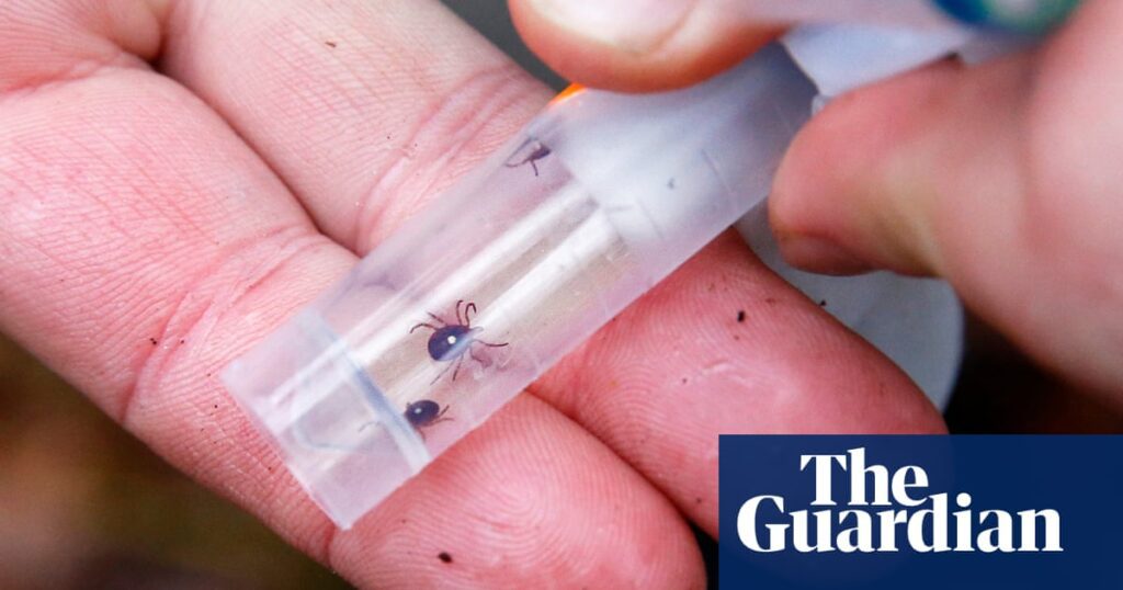 Surge In Meat Allergies Linked To Climate Change And Mites