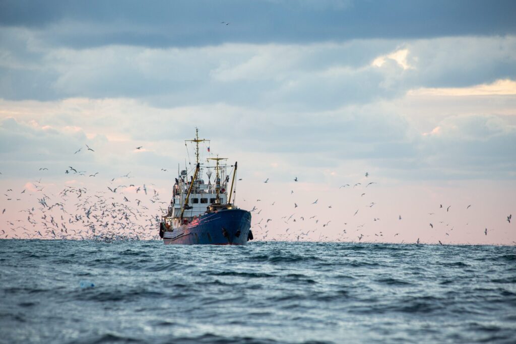 Warming Oceans: The Rising Threat Of Octopus Invasion In The