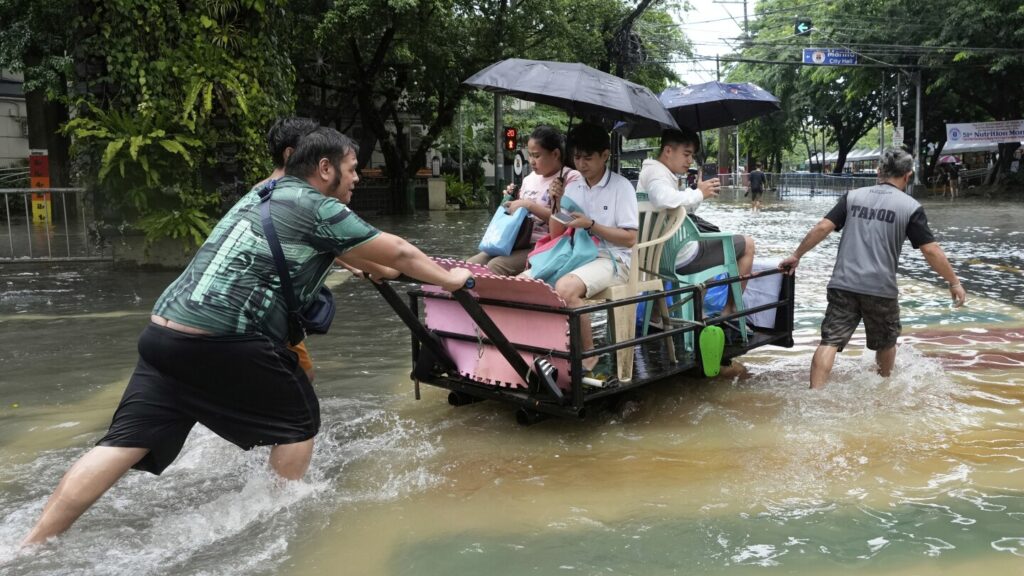 Captivating Adventures: Stormwipa Explores Asia