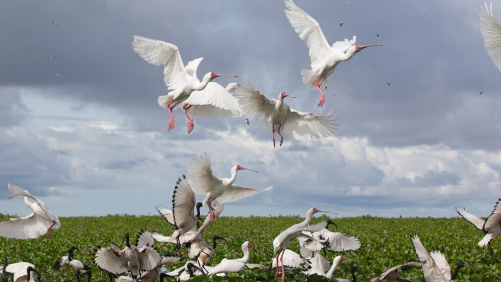 Discover Unesco's Newest World Heritage Sites