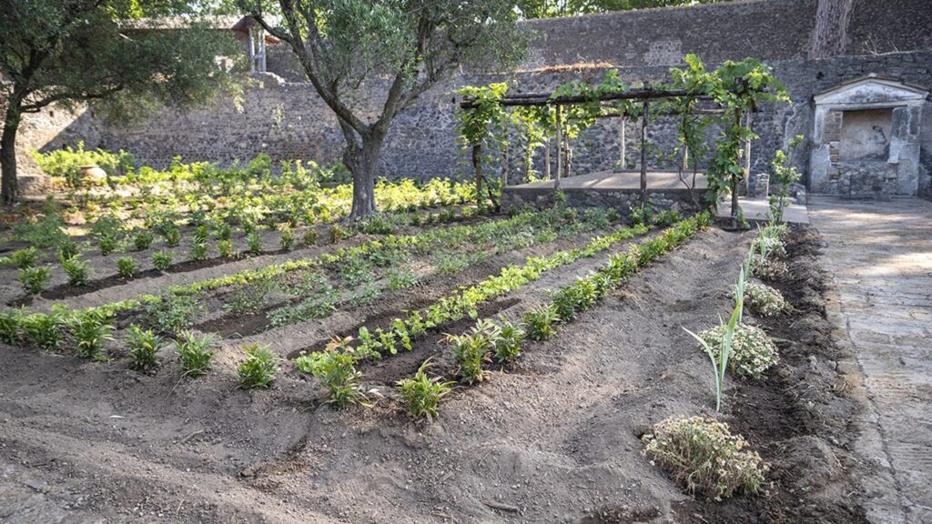 Marvel At The Rebirth Of Pompeii: A Garden Blooming With