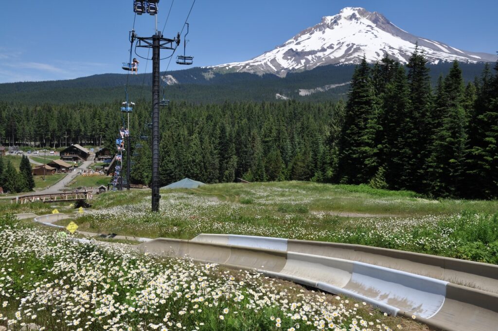 Mt. Hood Skibowl Unveils Exciting New Mountain Coaster For Summer