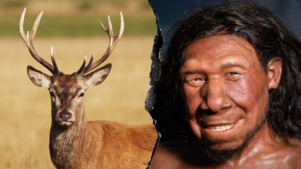 Neanderthals Operated A Fat Factory 125,000 Years Ago, New Research
