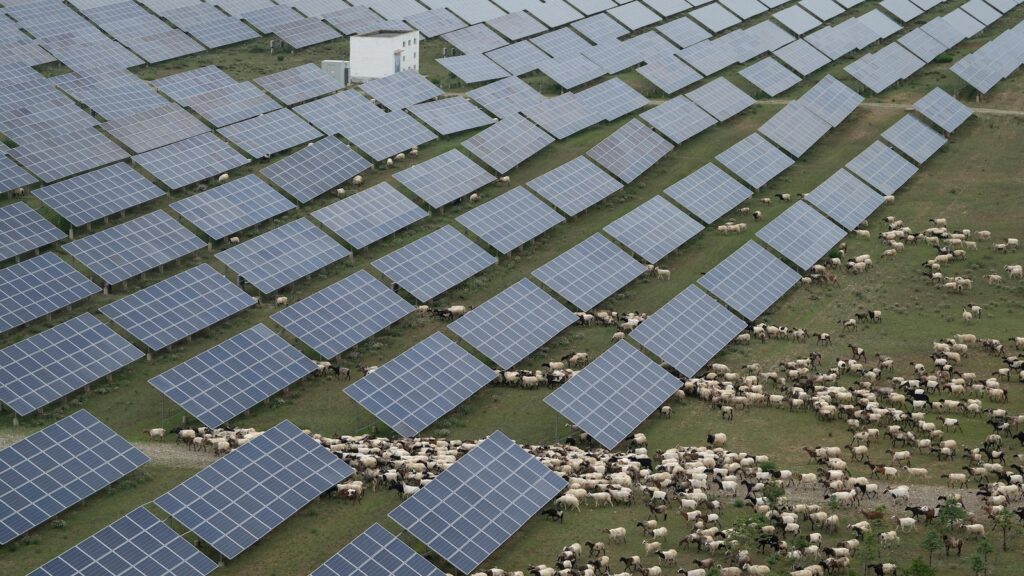 China's Urgent Push For Solar Power Reduces Emissions Rapidly