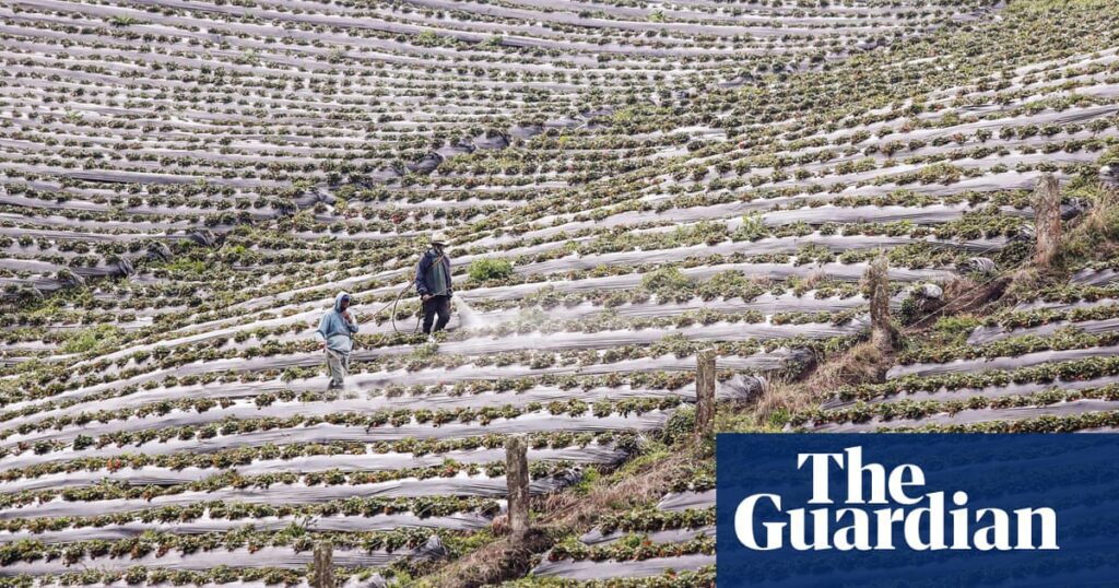 Fueling Our Cravings: The Climate Cost Of Broken Food Systems