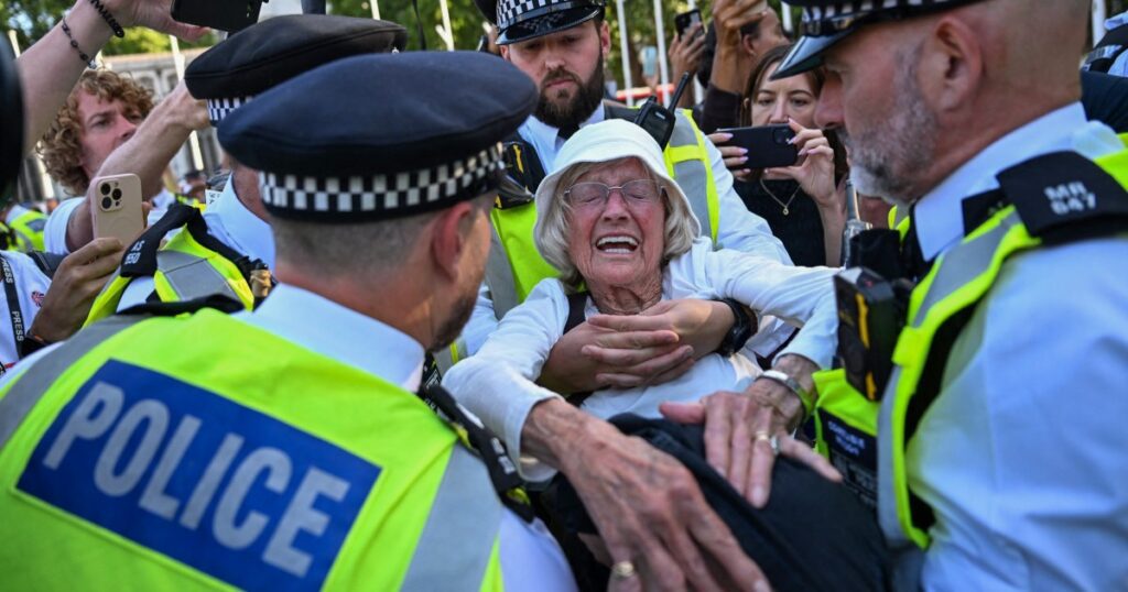 London Police Detain 474 During Pro Palestinian Protests Against New Legislation