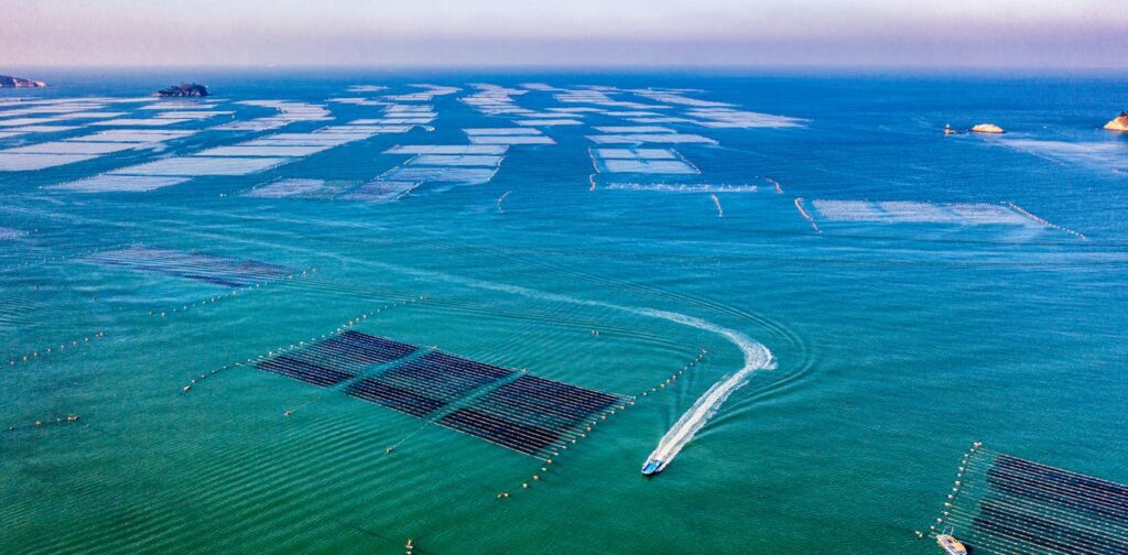 Navigating The Risks Of Ocean Climate Interventions