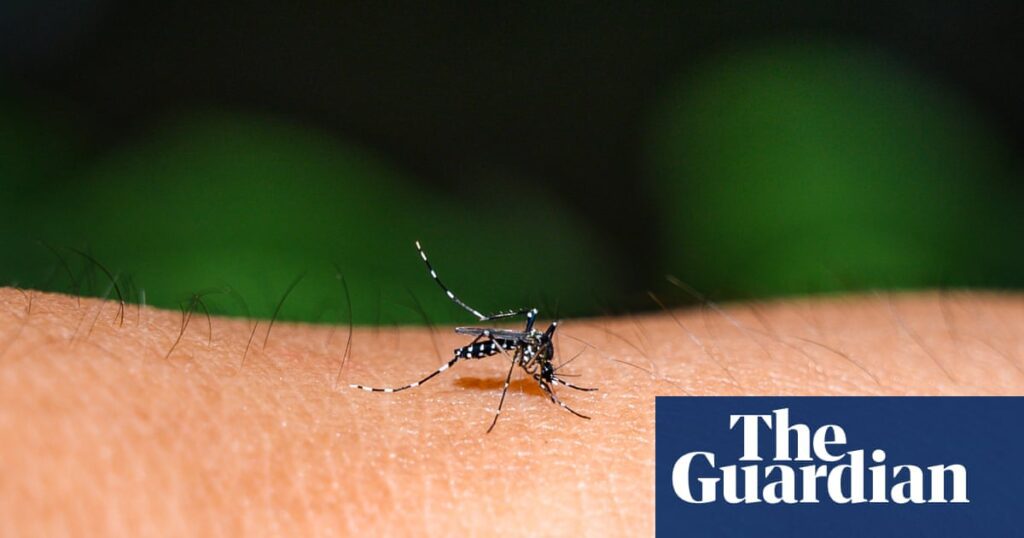 Rising Dengue Outbreaks In The Pacific Linked To Climate Change
