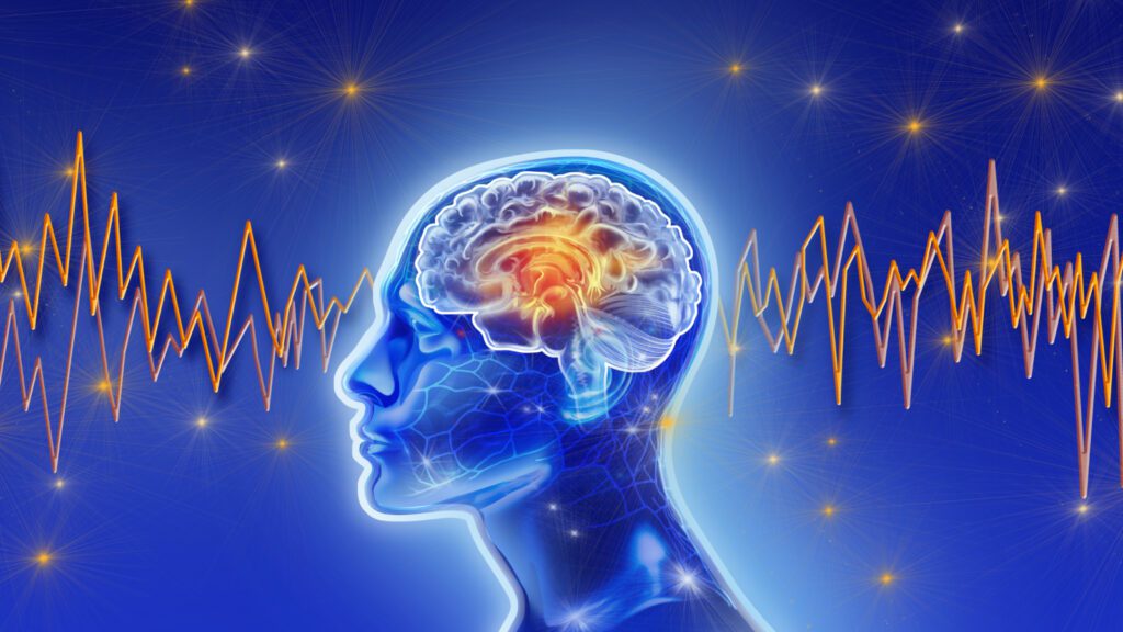 Unlocking The Mystery Of A Blank Heart: New Brain Scans