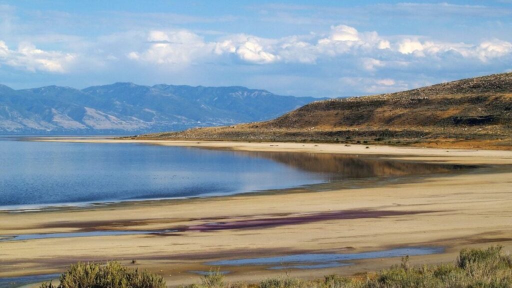 As Great Salt Lake Shrinks, Surprising Discoveries Emerge