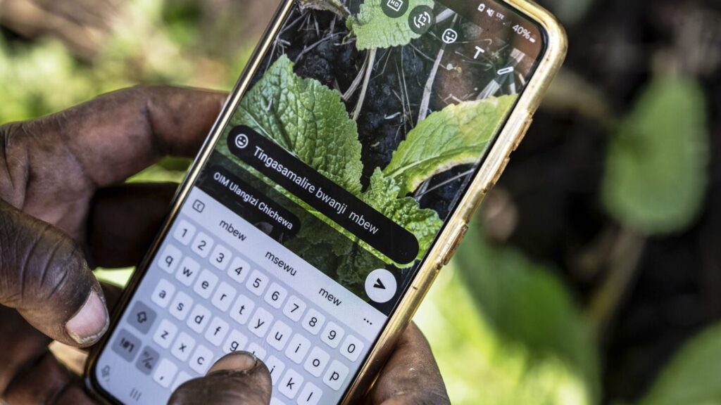 Empowering Small Farmers: Ai Solutions For Climate Resilience