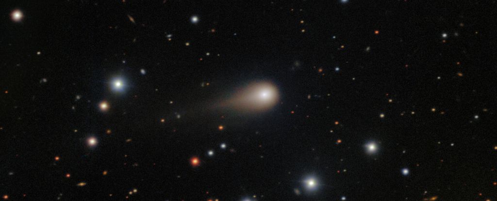 Interstellar Wanderer 3i/Atlas Develops Its First Tail Interstellar Wanderer 3i/atlas Develops Its First Tail