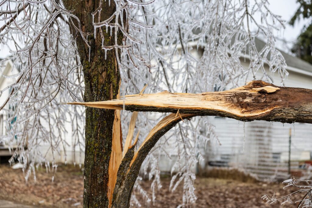 Mapping Ice Storms To Predict Climate Change Impacts