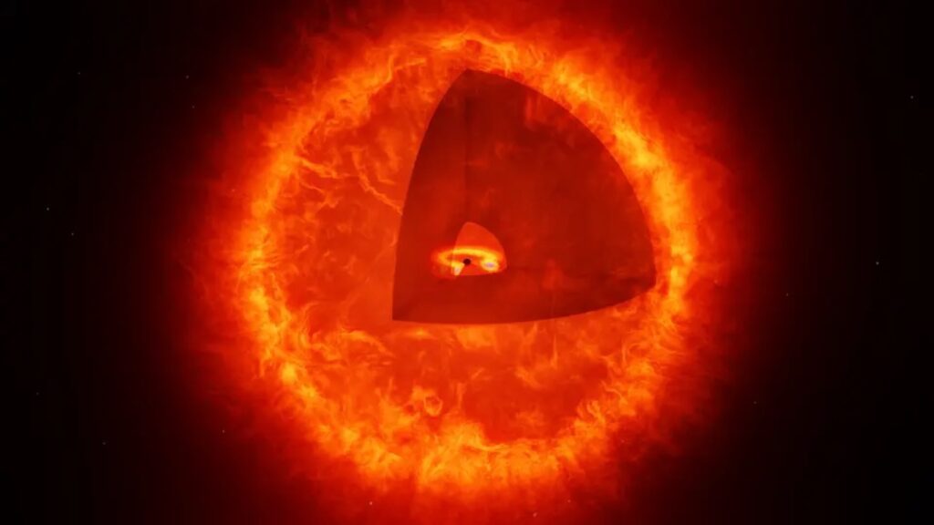 New Class Of Cosmic Wonders: Black Hole Stars Revealed By