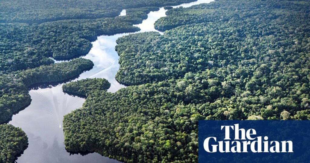 New Insights On The Resilience Of Big Trees In The