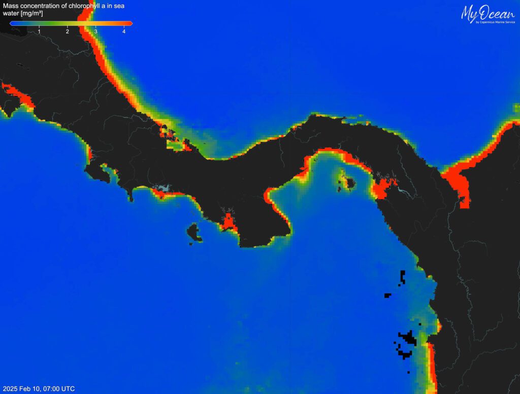Panama's Sea Upwelling Disrupted After 40 Year Streak