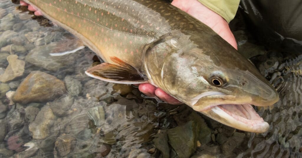 Rivers At Risk: Unprecedented Effects Of Global Warming