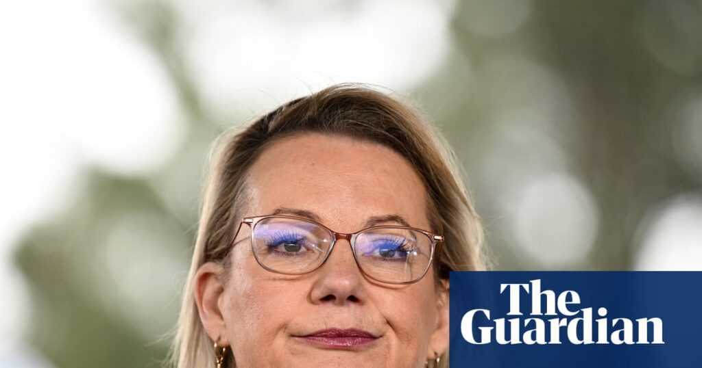 Sassan Ray Clarifies Misstatement On Climate Targets For Coalition