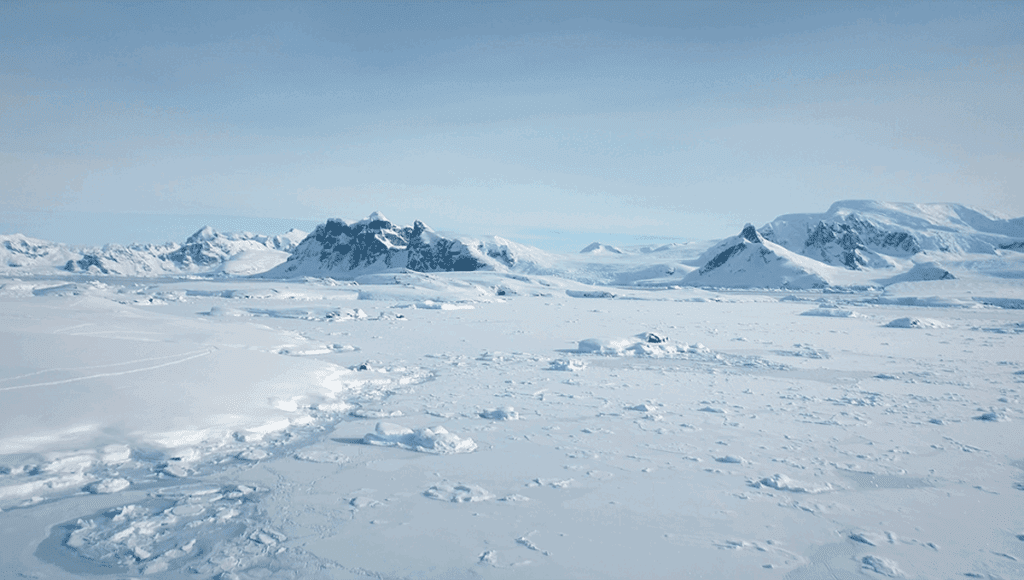 The Final Experiment Of Flat Eals In Antarctica Unveiled