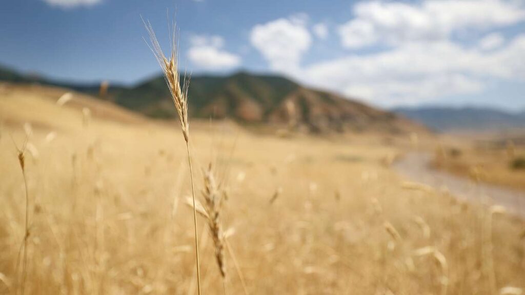 Utah Experiences Record Heat: The Counties Feeling The Impact This