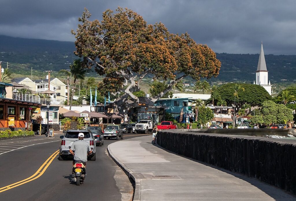 Autumn Awakens: Hawaii 2025 Unveiled